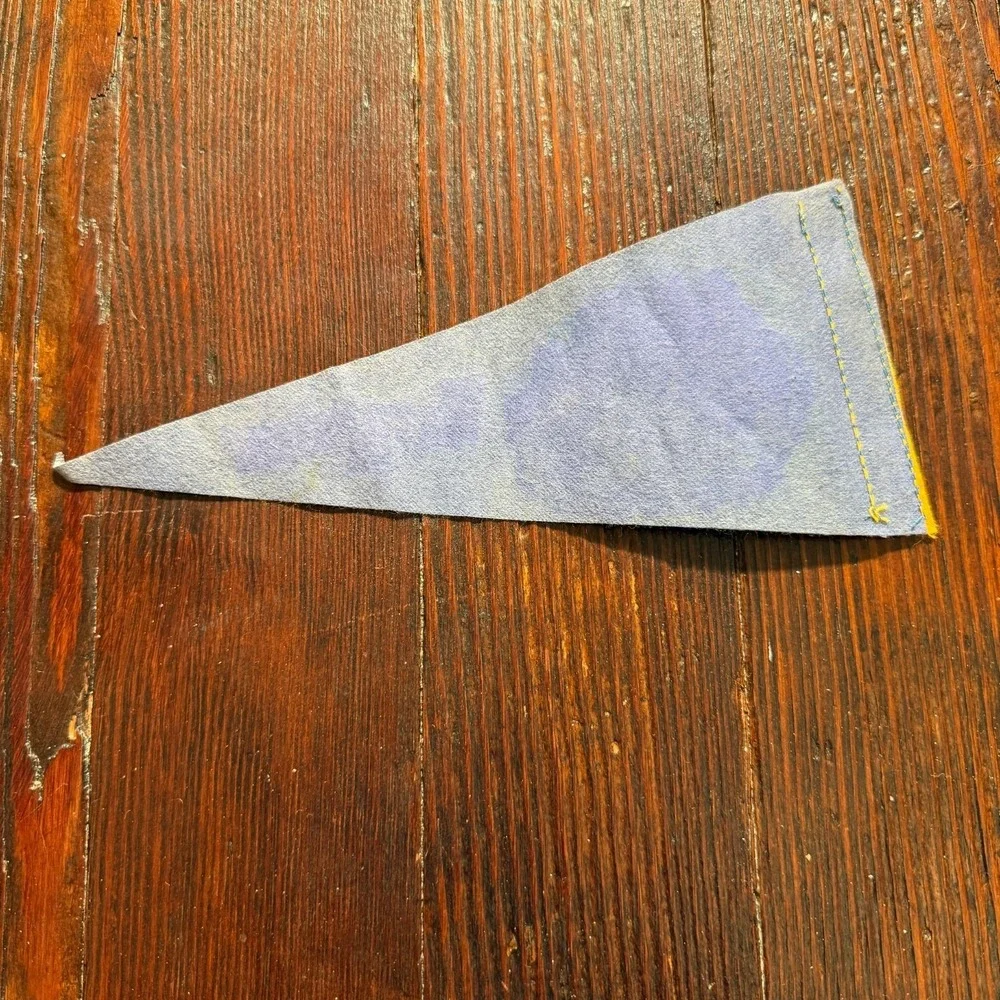 VTG‎ 1960s Washington DC Felt Pennant Blue Capitol Building